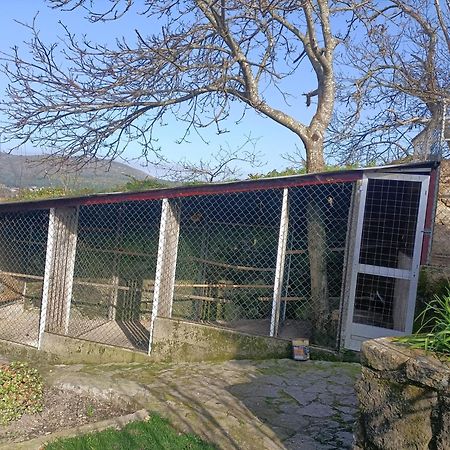 Casa De Santa Luzia B Villa Caminha Ngoại thất bức ảnh