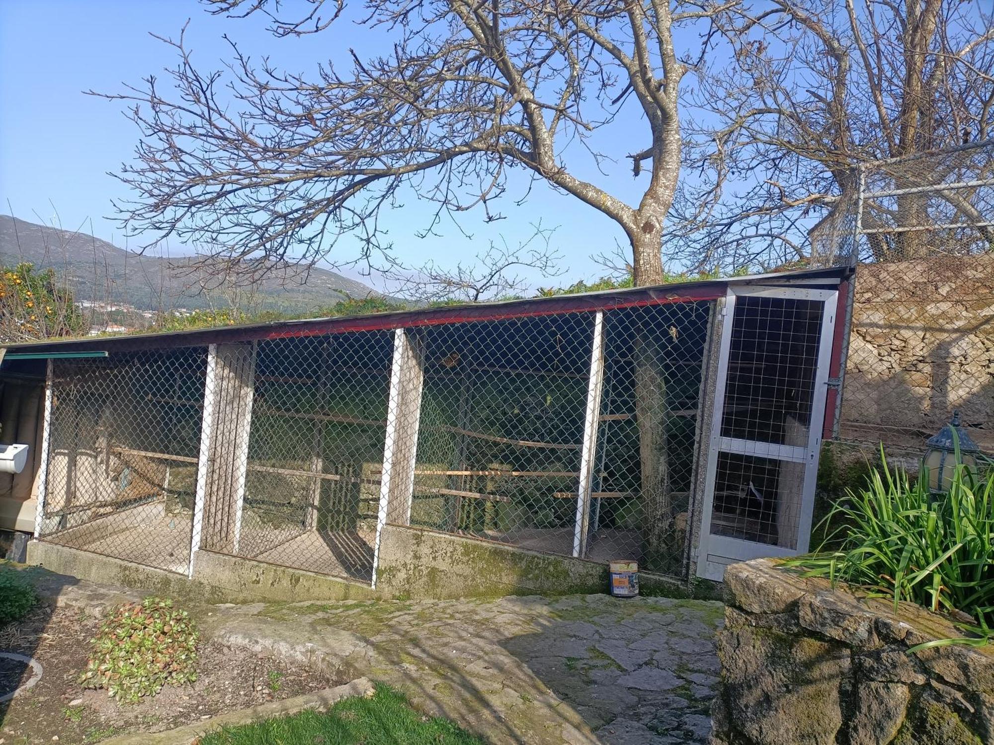 Casa De Santa Luzia B Villa Caminha Ngoại thất bức ảnh