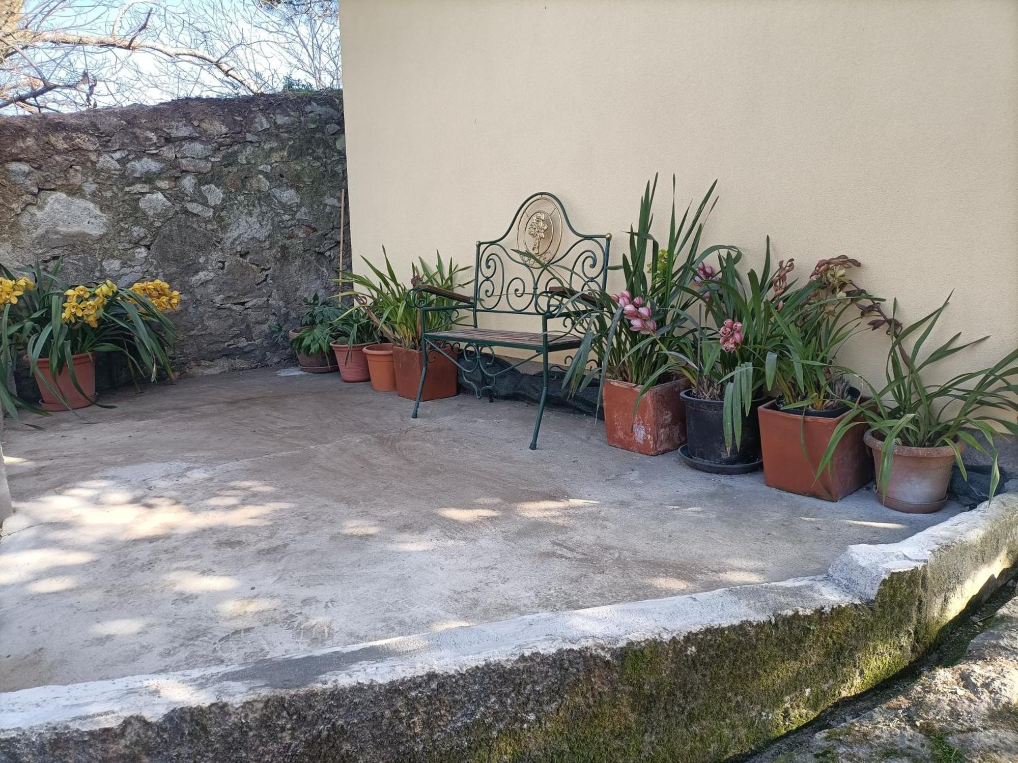 Casa De Santa Luzia B Villa Caminha Ngoại thất bức ảnh