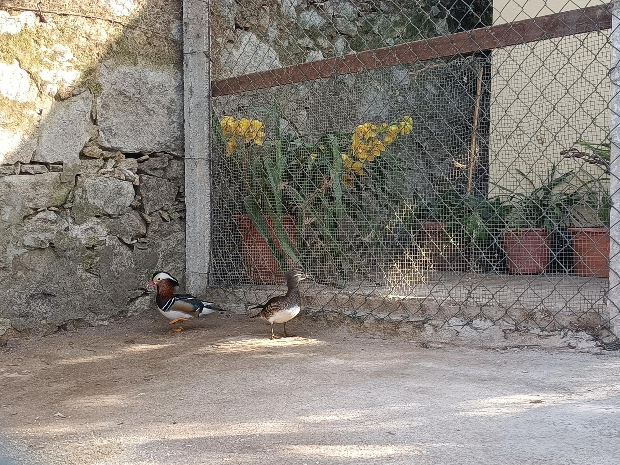 Casa De Santa Luzia B Villa Caminha Ngoại thất bức ảnh