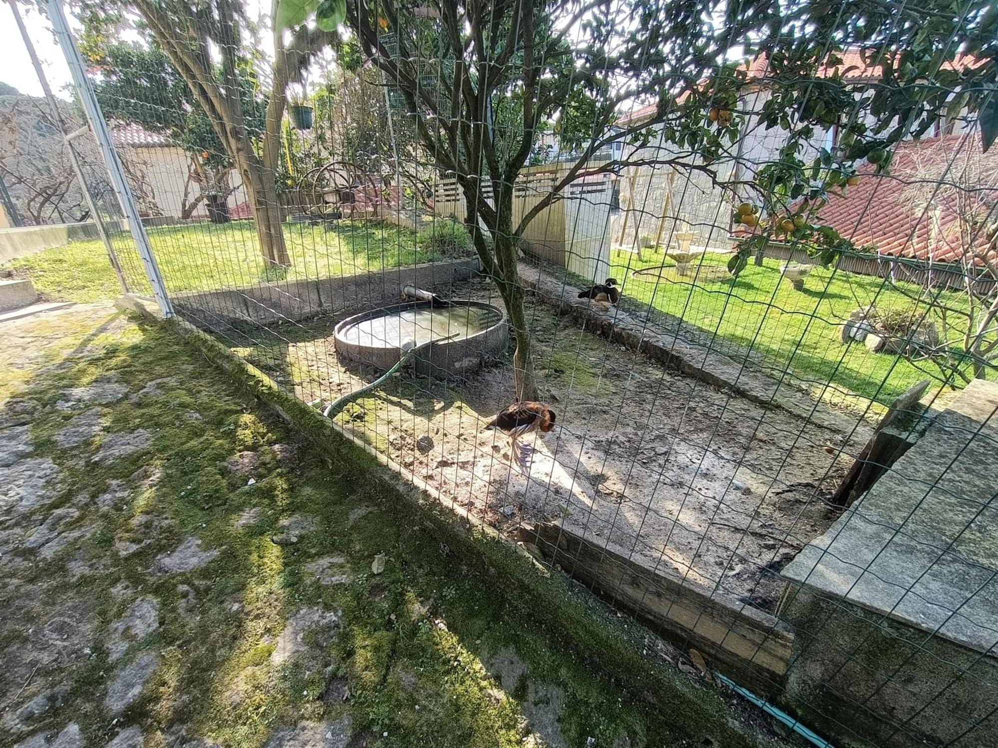 Casa De Santa Luzia B Villa Caminha Ngoại thất bức ảnh